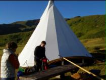 die ersten sind bereits aufgestanden die ersten sind bereits aufgestanden